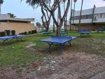 שולחן טניס SCHOOL