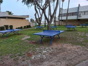 שולחן טניס SCHOOL