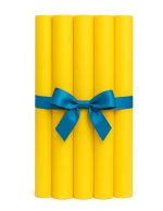 נודל צהוב לבריכה